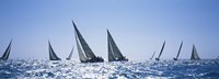 Framed Sailboats racing in the sea, Farr 40's race during Key West Race Week, Key West Florida, 2000