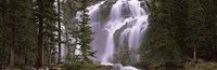 Framed Waterfall in a forest, Banff, Alberta, Canada