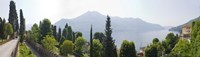 Framed Trees with a lake in background, Lake Como, Villa Passalacqua, Moltrasio, Como, Lombardy, Italy