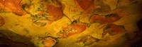 Framed Paleolithic paintings, Altamira Cave, Santillana del mar, Cantabria, Spain