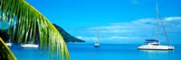 Framed Sailboats in the ocean, Tahiti, Society Islands, French Polynesia (horizontal)