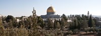 Framed Trees with mosque in the background, Dome Of the Rock, Temple Mount, Jerusalem, Israel