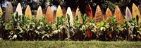 Framed Surfboard fence in a garden, Maui, Hawaii, USA