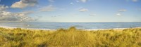 Framed Grass on the beach, Horsey Beach, Norfolk, England