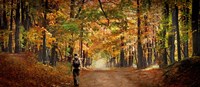 Framed Kid with backpack walking in fall colors