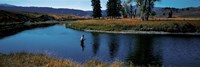 Framed Trout fisherman Slough Creek Yellowstone National Park WY