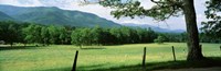 Framed Meadow Surrounded By Barbed Wire Fence, Cades Cove, Great Smoky Mountains National Park, Tennessee, USA