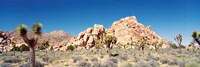 Framed Rock Formation In A Arid Landscape, Joshua Tree National Monument, California, USA