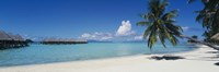 Framed Palm Tree On The Beach, Moana Beach, Bora Bora, Tahiti, French Polynesia