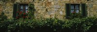 Framed Flowers on a window, Monteriggioni, Tuscany, Italy