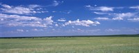 Framed Herd of Bison on prairie Cheyenne WY USA