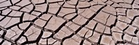 Framed Close-up of cracked mud, South Dakota, USA