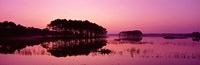 Framed Panoramic View Of The National Forest During Sunset, Chincoteague National Wildlife Refuge, Virginia, USA