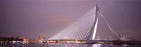 Framed Erasmus Bridge, Rotterdam, Holland, Netherlands