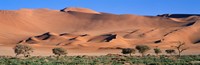 Framed Africa, Namibia, Namib Desert
