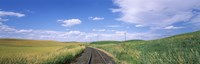 Framed Railroad track passing through a field, Whitman County, Washington State, USA