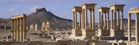 Framed Colonnades on an arid landscape, Palmyra, Syria