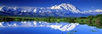 Framed Alaska Range, Denali National Park, Alaska, USA