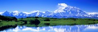 Framed Reflection Pond, Mount McKinley, Denali National Park, Alaska, USA