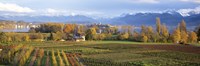 Framed Farm, Rapperswil, Zurich, Switzerland