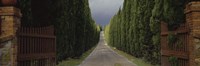 Framed Road, Tuscany, Italy,