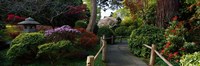 Framed Japanese Tea Garden, San Francisco, California, USA