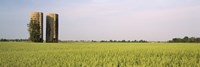 Framed USA, Arkansas, View of grain silos in a field