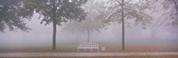 Framed Trees and Bench in Fog Schleissheim Germany