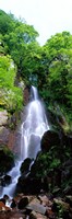 Framed Waterfall Alsace France