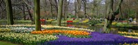 Framed Keukenhof Garden Lisse The Netherlands