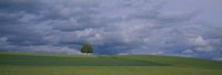 Framed Storm clouds over a field, Zurich Canton, Switzerland