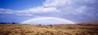 Framed Field, Rainbow, Hawaii, USA