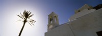 Framed Low angle view of a palm tree near a church , Ios, Cyclades Islands, Greece