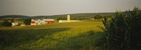 Framed Crop in a field, Frederick County, Virginia, USA