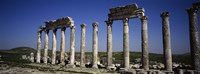 Framed Cardo Maximus Ruins, Apamea, Syria