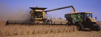 Framed Combine harvesting soybeans in a field, Minnesota