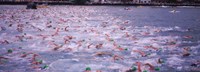 Framed Triathlon athletes swimming in water in a race, Ironman, Kailua Kona, Hawaii, USA