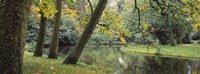 Framed Trees near a pond in a park, Vondelpark, Amsterdam, Netherlands
