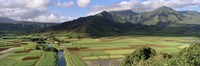 Framed High angle view of a field with mountains in the background, Hanalei Valley, Kauai, Hawaii, USA