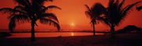 Framed Silhouette of palm trees on the beach at dusk, Lydgate Park, Kauai, Hawaii, USA