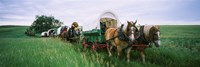 Framed Historical reenactment, Covered wagons in a field, North Dakota, USA