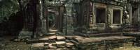 Framed Ruins of a temple, Banteay Kdei, Angkor, Cambodia
