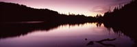 Framed Reflection of trees in a lake, Mt Rainier, Pierce County, Washington State