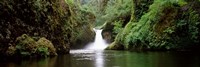 Framed Waterfall in a forest, Punch Bowl Falls, Eagle Creek, Hood River County, Oregon, USA