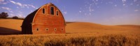 Framed Old barn in a wheat field, Palouse, Whitman County, Washington State