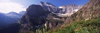 Framed Wildflowers with mountain range in the background, US Glacier National Park, Montana, USA