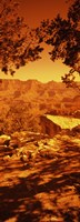 Framed Mountain range, Mather Point, Grand Canyon National Park, Arizona