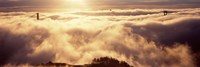 Framed Golden Gate Bridge Peaking through the fog, San Francisco, California