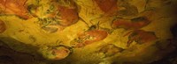 Framed Paleolithic paintings, Altamira Cave, Santillana del mar, Cantabria, Spain