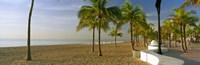 Framed Palm trees on the beach, Las Olas Boulevard, Fort Lauderdale, Florida, USA